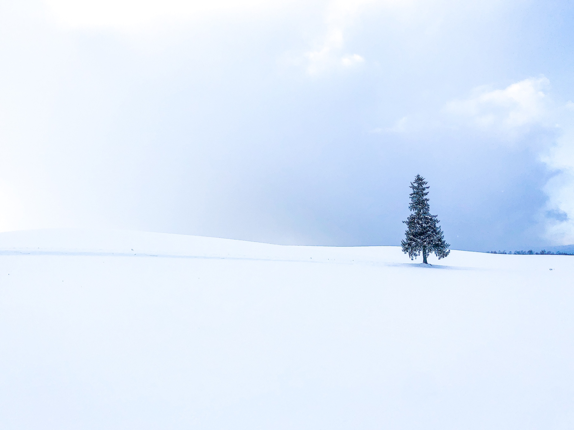 jay Sapporo, Japan